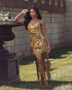 Gold Embellished Fringe Hem Velvet Mini Dress - Designer Collection