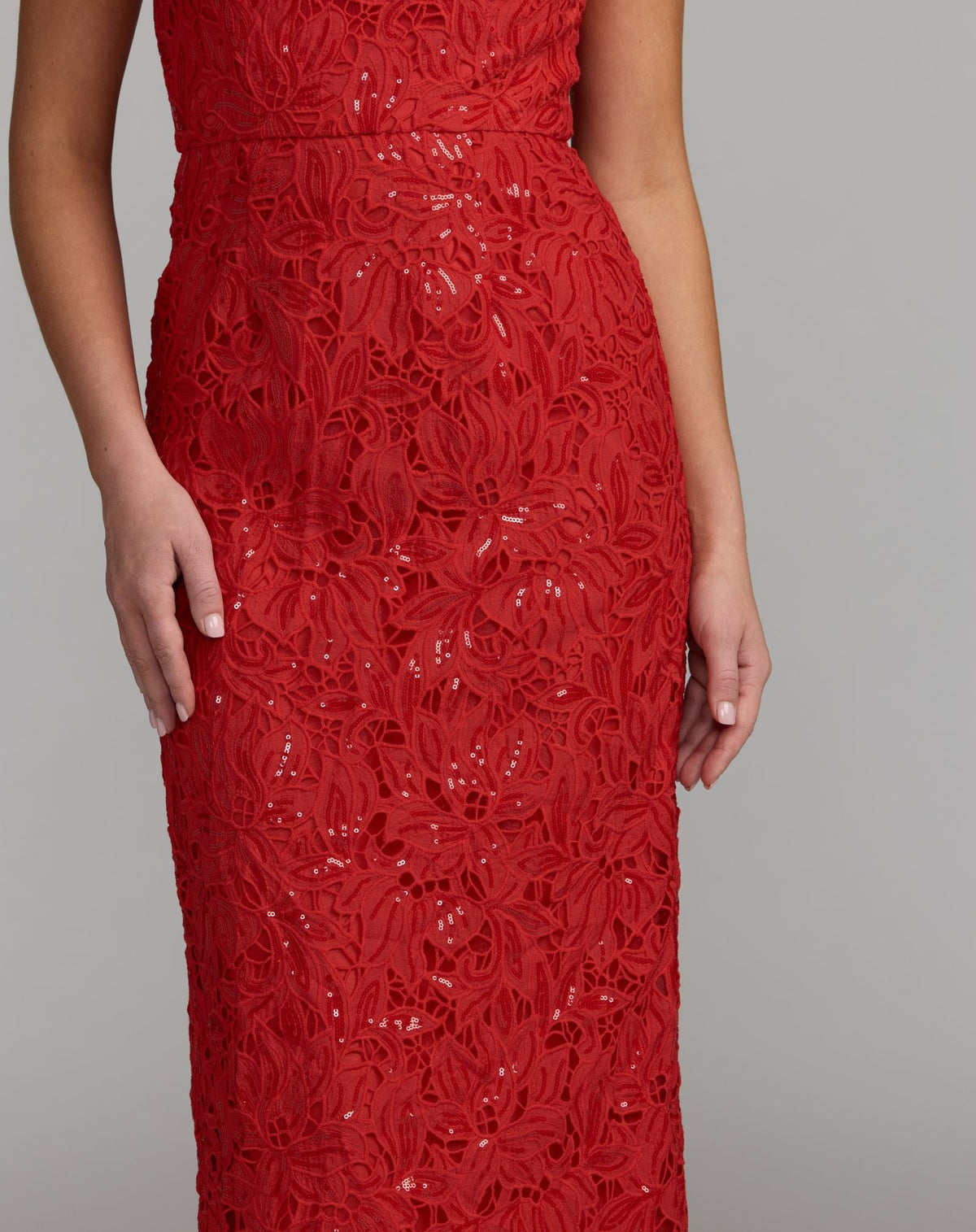 Red Sleeveless Embroidered Lace Midi Dress - Designer Collection
