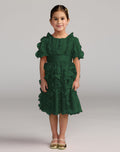 Girls Green Chiffon High Neck Ruffle Dress Designer Collection