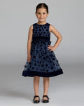 Girls Blue Embellished Floral A-Line Dress - Designer Collection