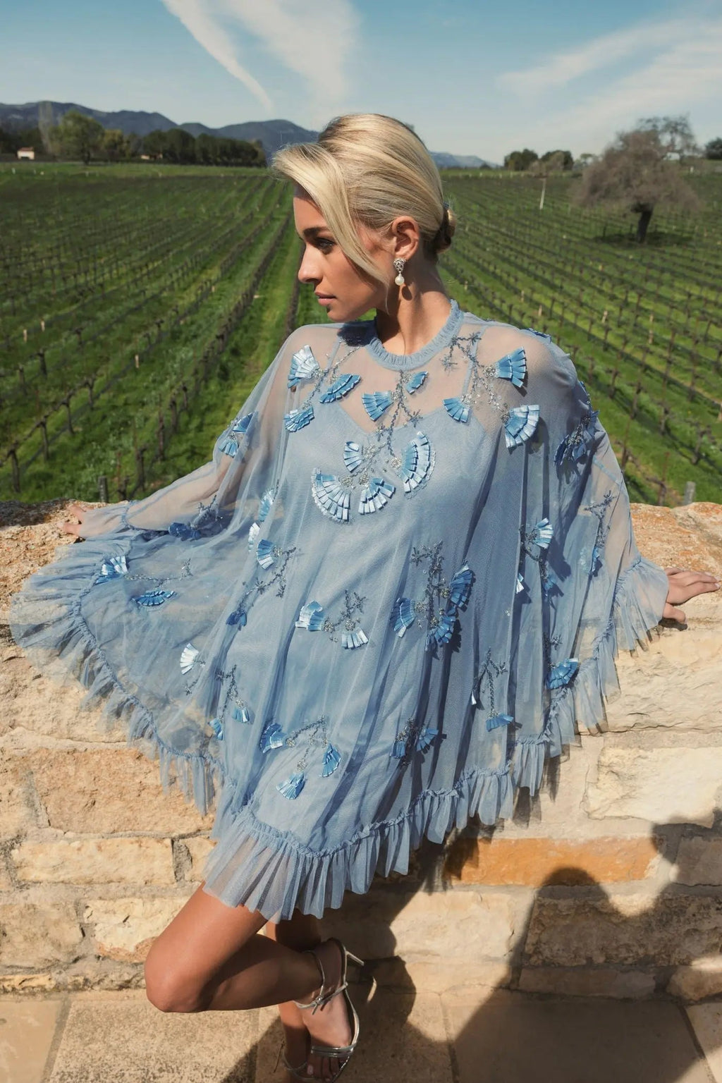 Blue Embellished Long Flare Sleeve Mesh Trapeze Dress - Designer Collection