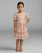 Girls Pink Embellished Flutter Sleeve Ruffle Gown Designer Collection